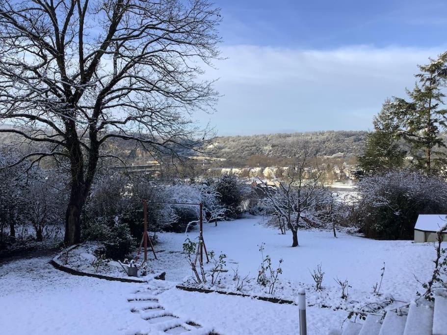 Uber den Dächern: Aussichts-Wohnung mit Rheinblick und Sport-Pool Koblenz  Exterior photo